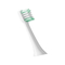 Electric toothbrush waterproof with sonic highest vibration rated with DuPont high density brush head