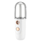 Handheld Nano Sprayer with USB Rechargeable Moisturizing Beauty Instrument with 30 ml