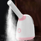 Hot spray air humidifier with plant aroma essential oil for beauty and soothing