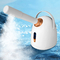 Portable hot and cold spray facial steamer ion spray with display screen to moisturize skin